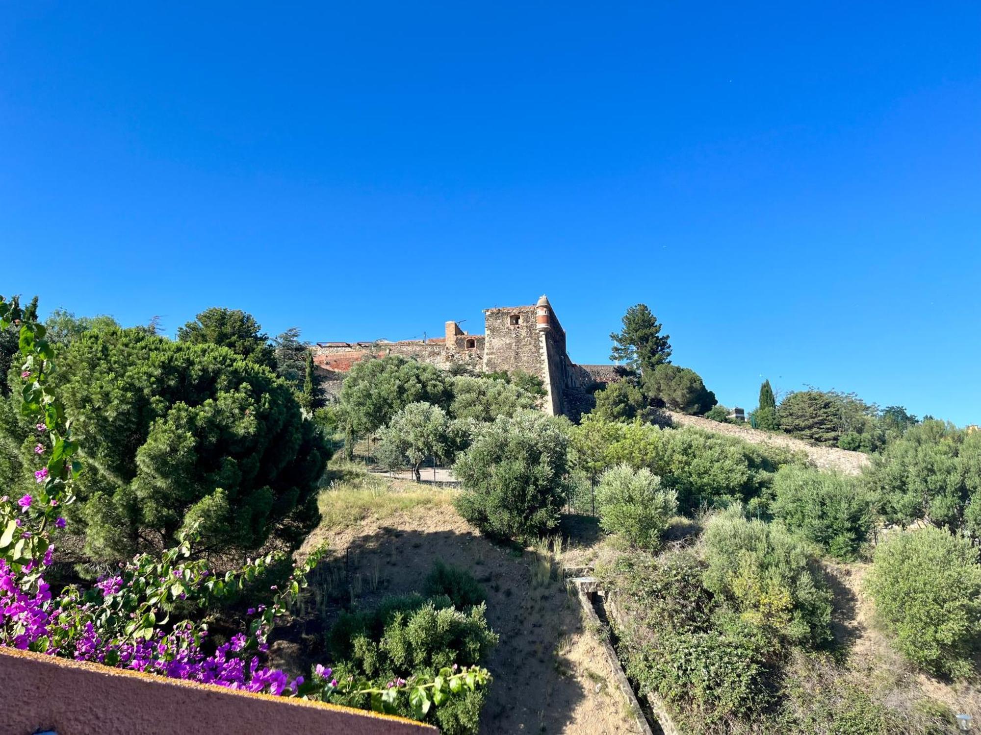 Appartement Collioure, Grande Terrasse Et Parking Екстериор снимка